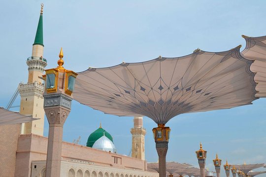 صورة الجولة 8