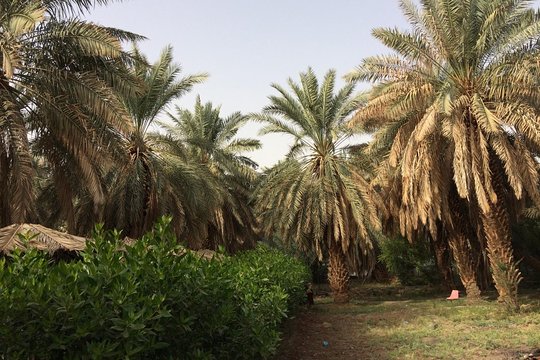 صورة الجولة 10