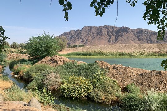 صورة الجولة 5