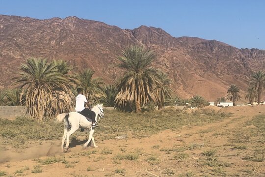 صورة الجولة 1