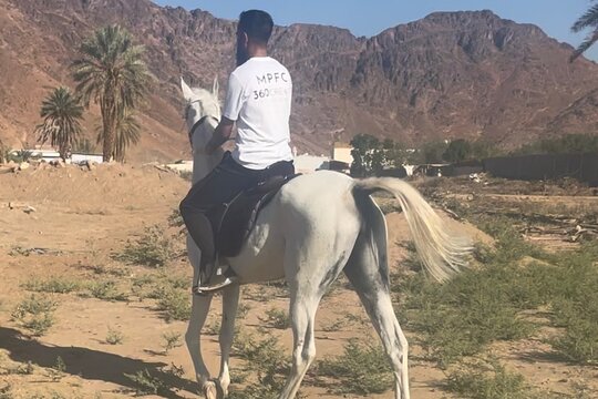 صورة الجولة 2