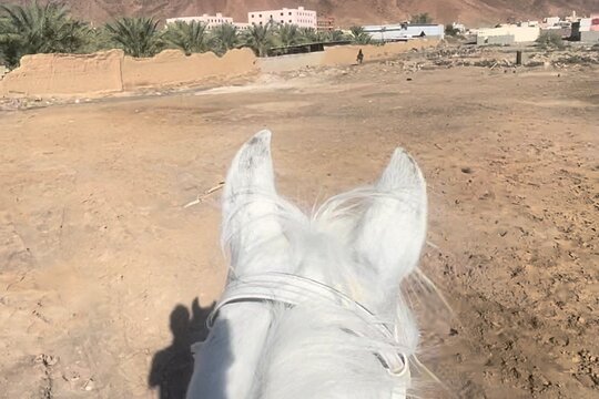 صورة الجولة 3